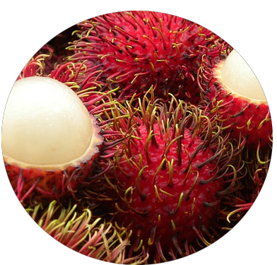 Rambutan2.jpg